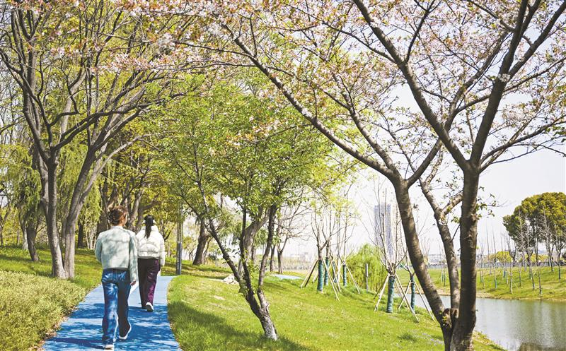 綠化景觀串聯(lián)16個園區(qū)、2片住宅區(qū)和6個公園 “超級公園大道”亮相新吳  