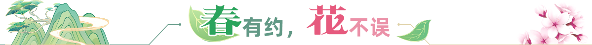 春有約，花不誤